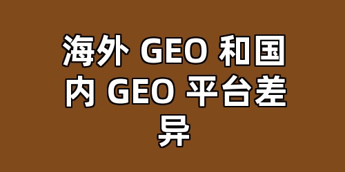 海外 GEO 和国内 GEO 平台差异